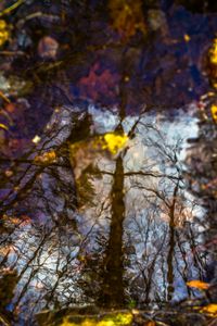 Liquid Sky 06