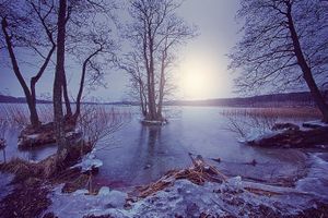 Winter