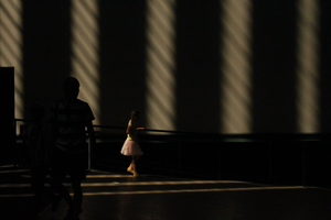 shadow#3