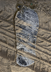 Forgotten Footsteps