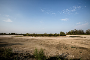A strange circle of vegetation is seen on one of three islands created fifty years ago when the industrial district of Marghera dug a deep canal in the lagoon to allow the passage of large cargo ships and dumped the material here to create ground for a new housing project. The Venetians were against it and shut the project down. The islands are an important bird and plants habitat.
