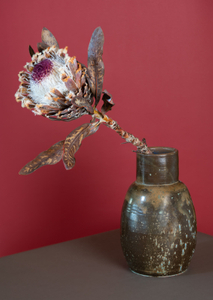 Protea in Brown Vase