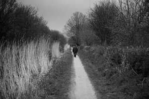 Birmingham & Fazeley Canal