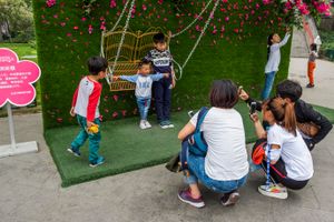 Young Photo Stars 8