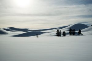 Rolling Hills