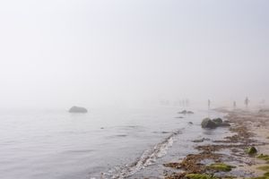 Fog 3