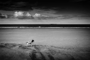Scotlandscape #5