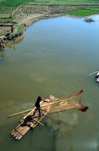 Fisherman throwing traditional netnear Ramu, near Cox's Bazaar, Bangladesh