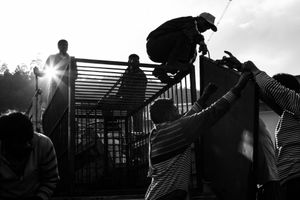 Human & Tiger Conflict