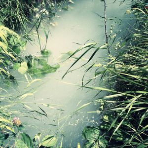 Matter, Earth & Water