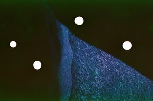 Trethevy Quoit