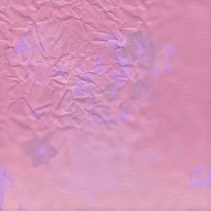 Pressed Flowers #2