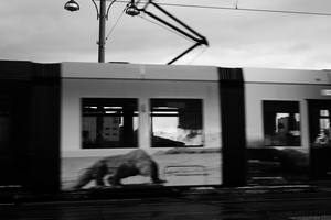 52° 31' 27.73" N, 13° 24' 37.91" E #001, 2016