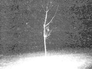 08 - Untitled