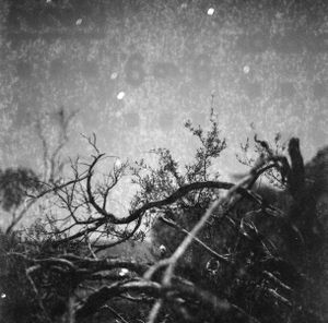 Moondust