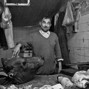 Butcher, Fez