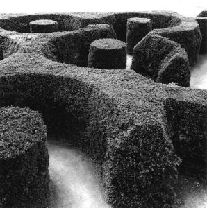 Marlborough Maze, Blenheim Palace