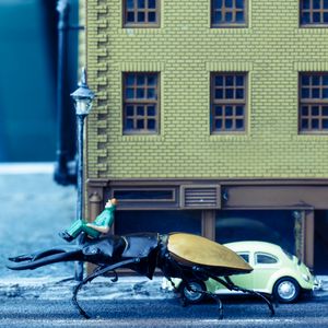 Passing Beetle
