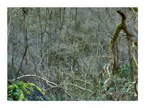 Via Gellia #6-b,2013