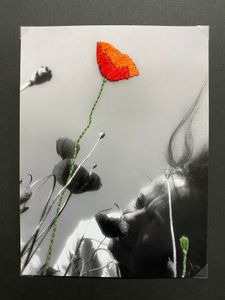 A poppy