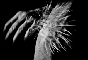 HANDSPIKE