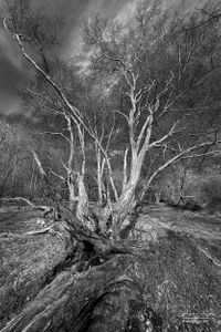 Danemead Nature Reserve | 05