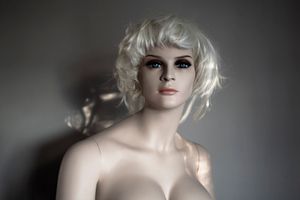 THE MILA PROJECT