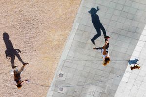Shadows