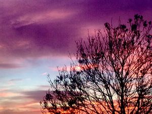 Ditchling sky 3