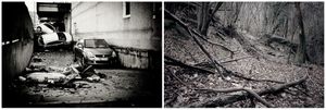 radici _ roots