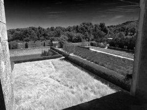 View from Vincent's Window of Wheat and Lavender Fields, Saint-Rémy-de-Provence, France