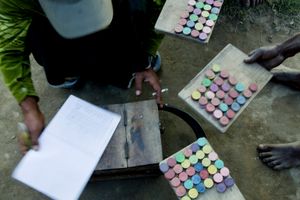 Brickfield Worker