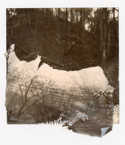 Constructed Landscapes 4