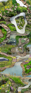 Topography Study XXXIV