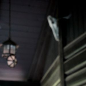 The roof