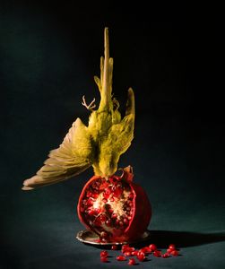 Budgie and pomegranate