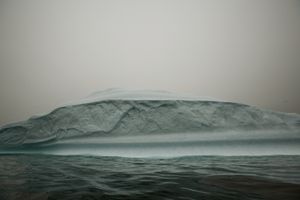 Melt #40