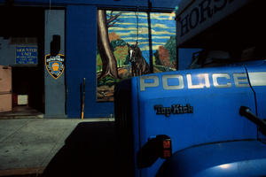 Urban Safari/NYPD
