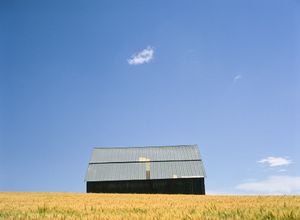 Barn #3