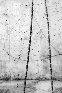 Metamorphosis, 1