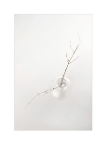 Botanical