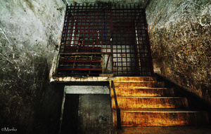 No Exit