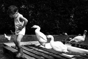 Summer