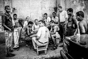 Domino