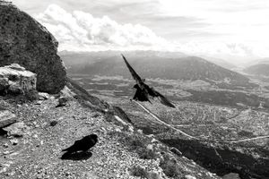 Wuthering heights