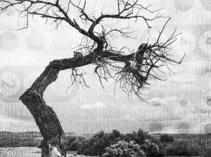 Manipulated by Time