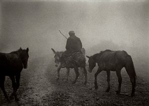 Travelling by mule along the mountain roads of Asturias, Spain 1988