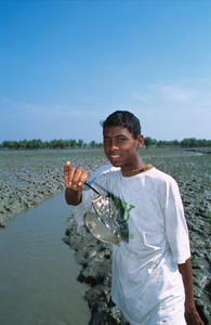 Teenager with horseshoe crab, mangrove swamp, Moheskhali island near Cox's Bazar, Bangladesh