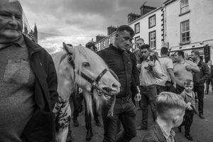 A Horse for my Kingdom 34