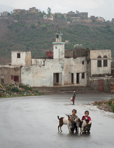 Hill Mosque and Boys With Goats